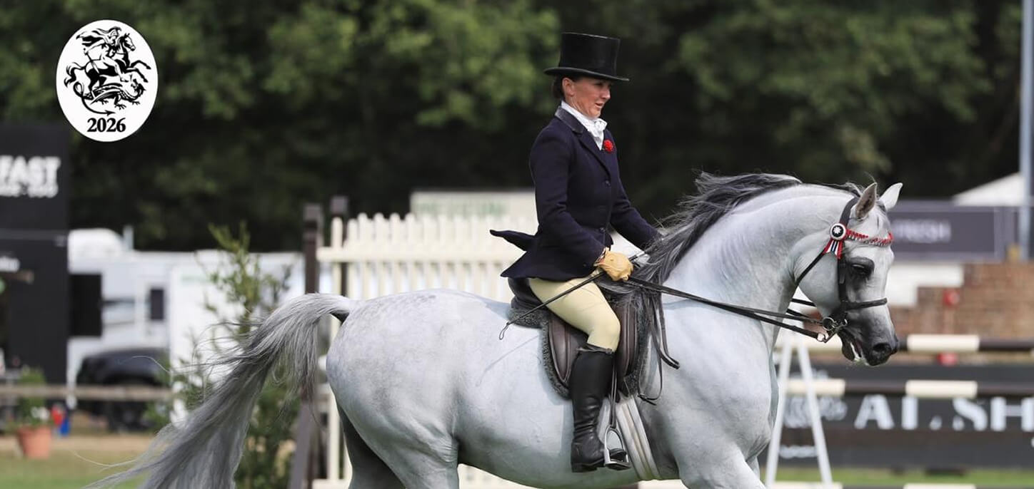 equine-ambassador-champion