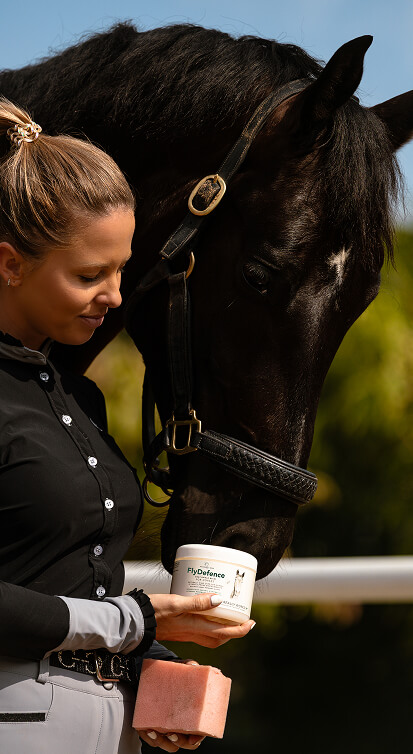 equine-journey-1